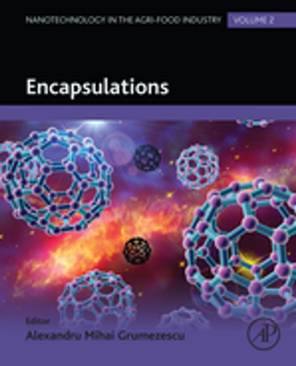 Big bigCover of Encapsulations