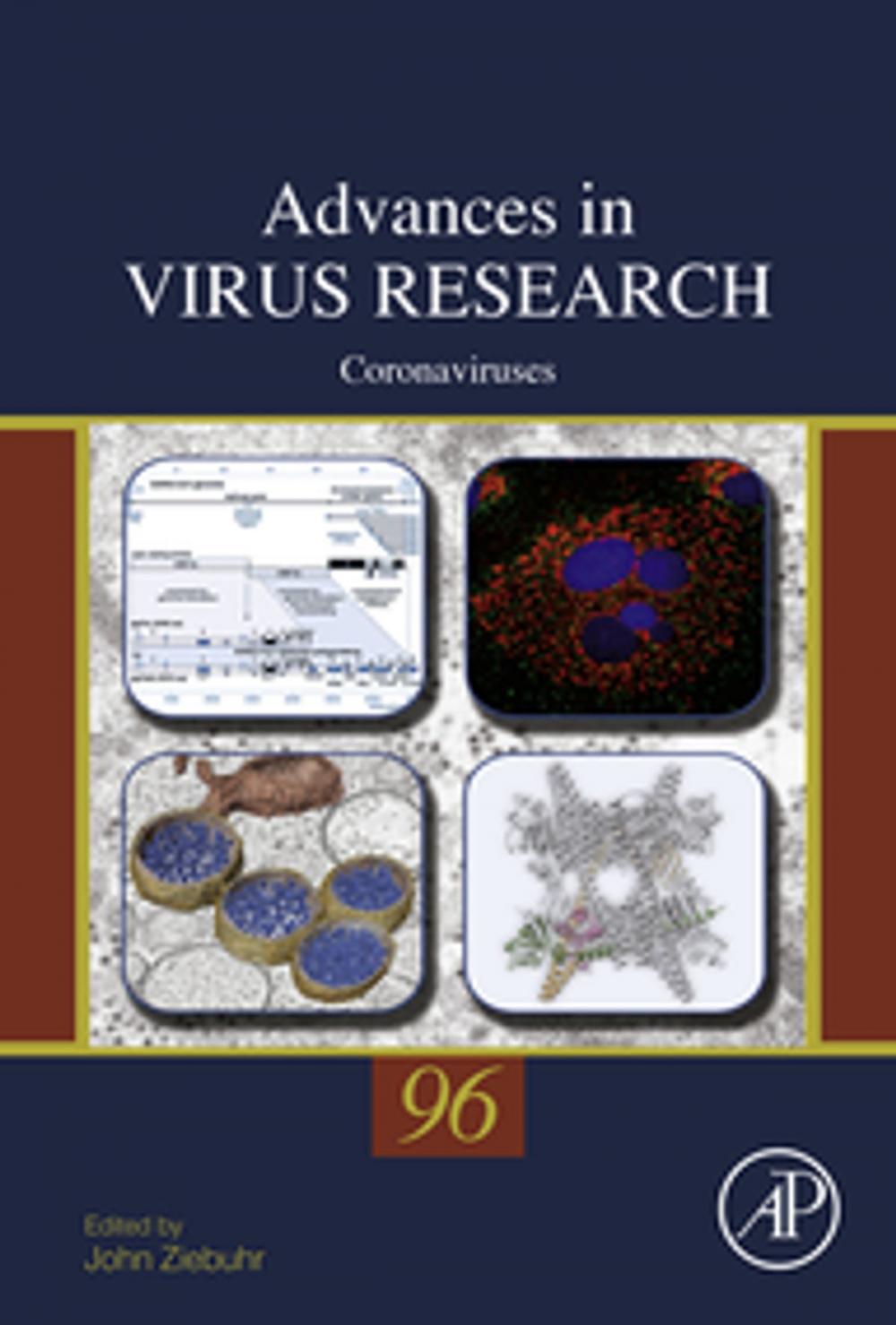 Big bigCover of Coronaviruses