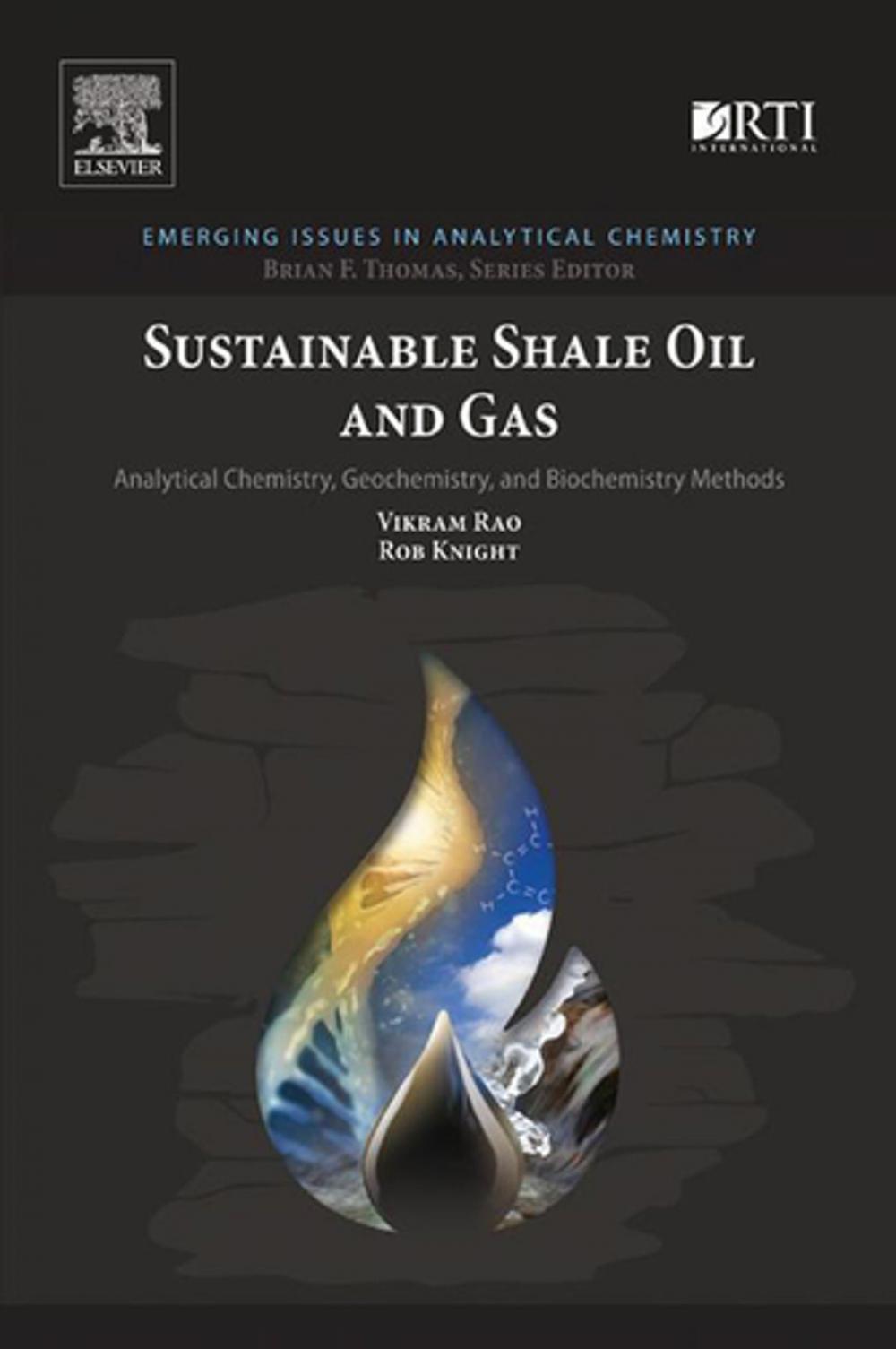 Big bigCover of Sustainable Shale Oil and Gas