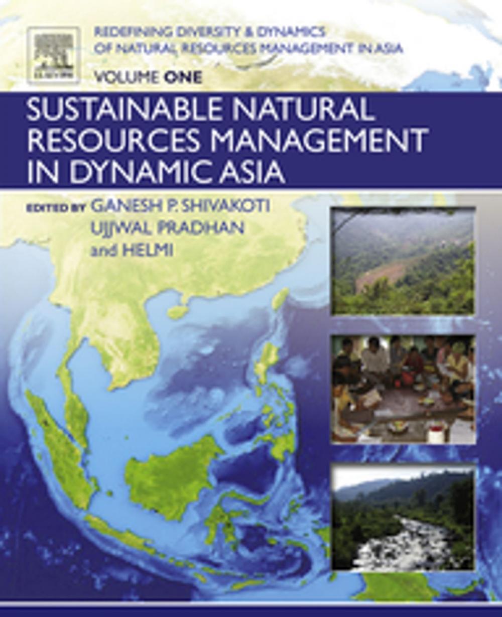 Big bigCover of Redefining Diversity and Dynamics of Natural Resources Management in Asia, Volume 1