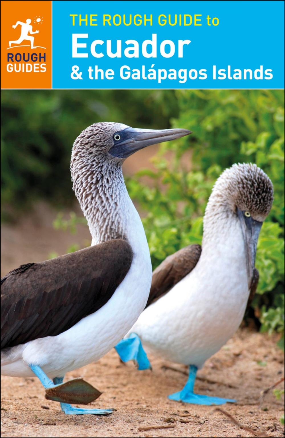 Big bigCover of The Rough Guide to Ecuador & the Galápagos Islands (Travel Guide eBook)