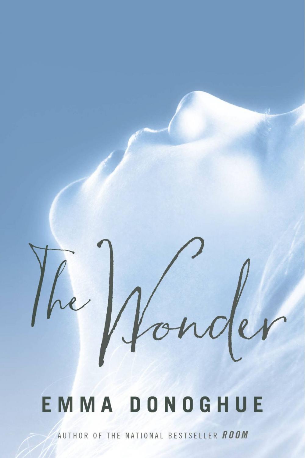 Big bigCover of The Wonder