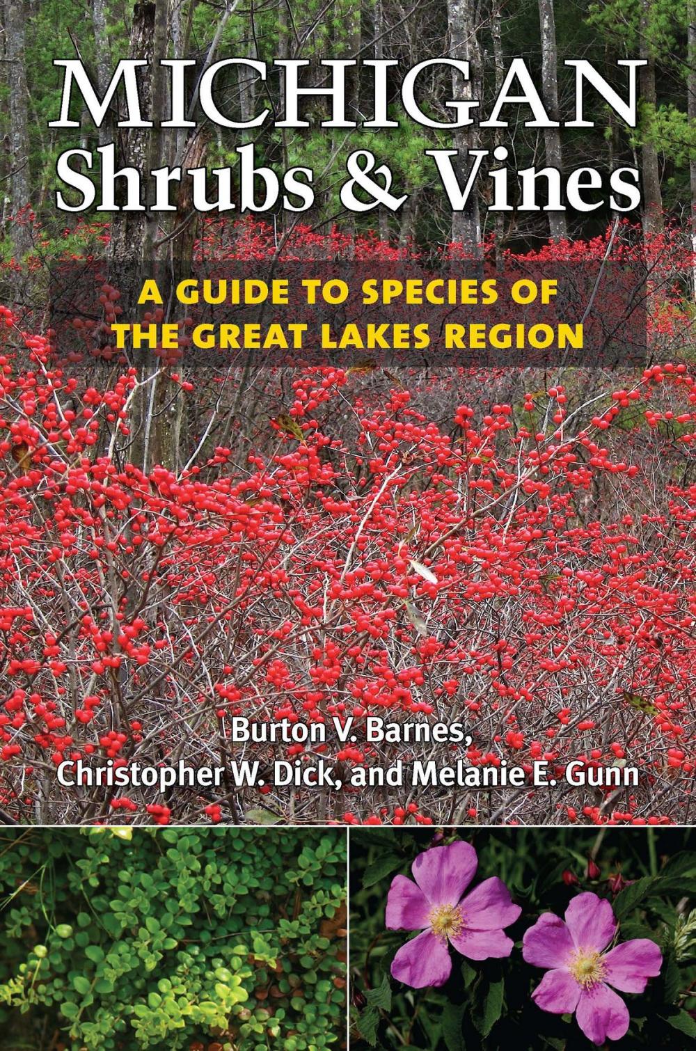 Big bigCover of Michigan Shrubs and Vines