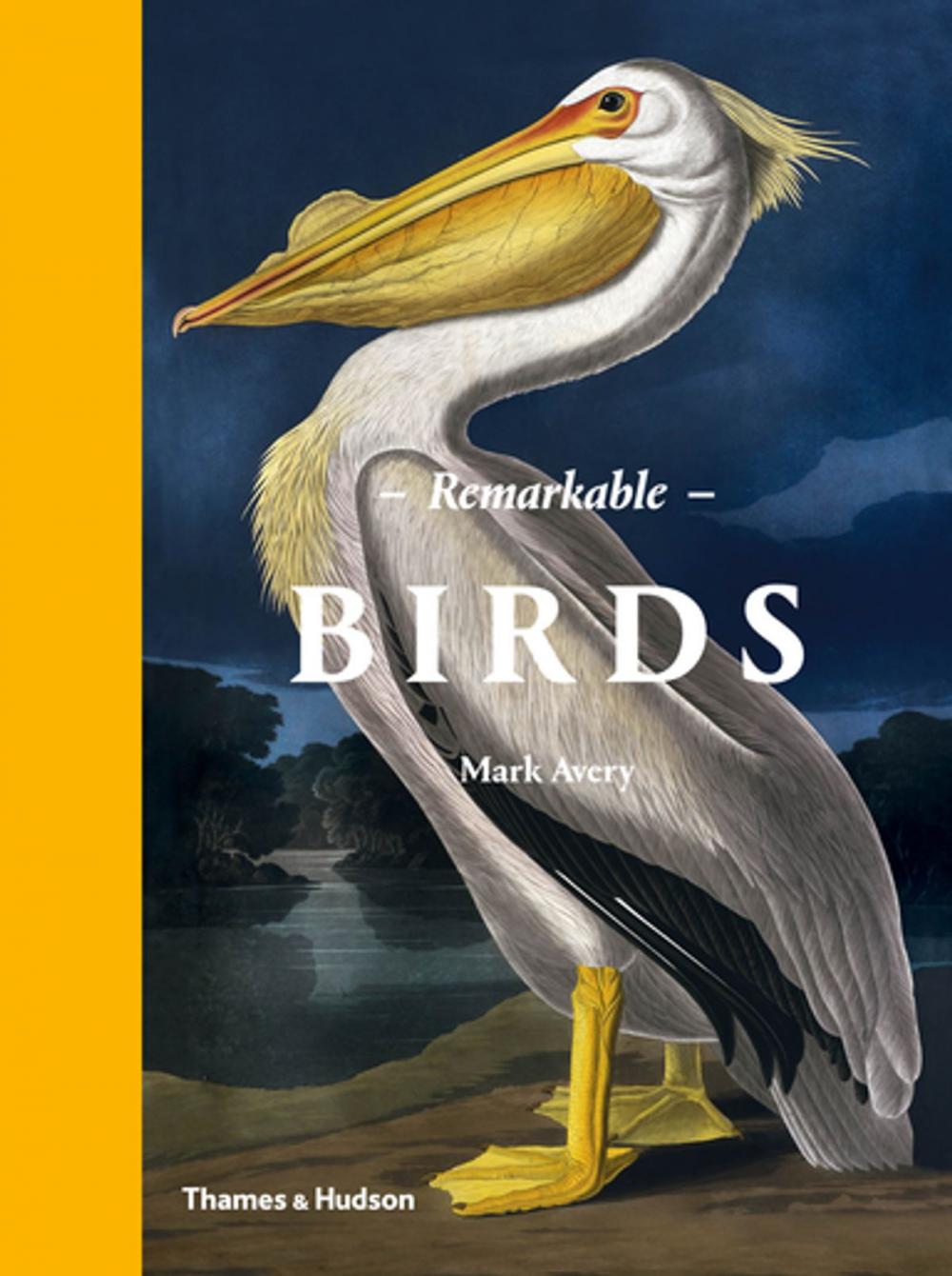 Big bigCover of Remarkable Birds