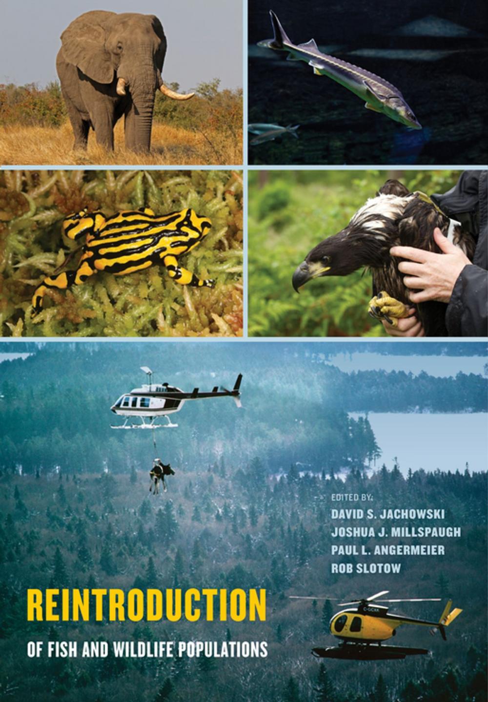 Big bigCover of Reintroduction of Fish and Wildlife Populations