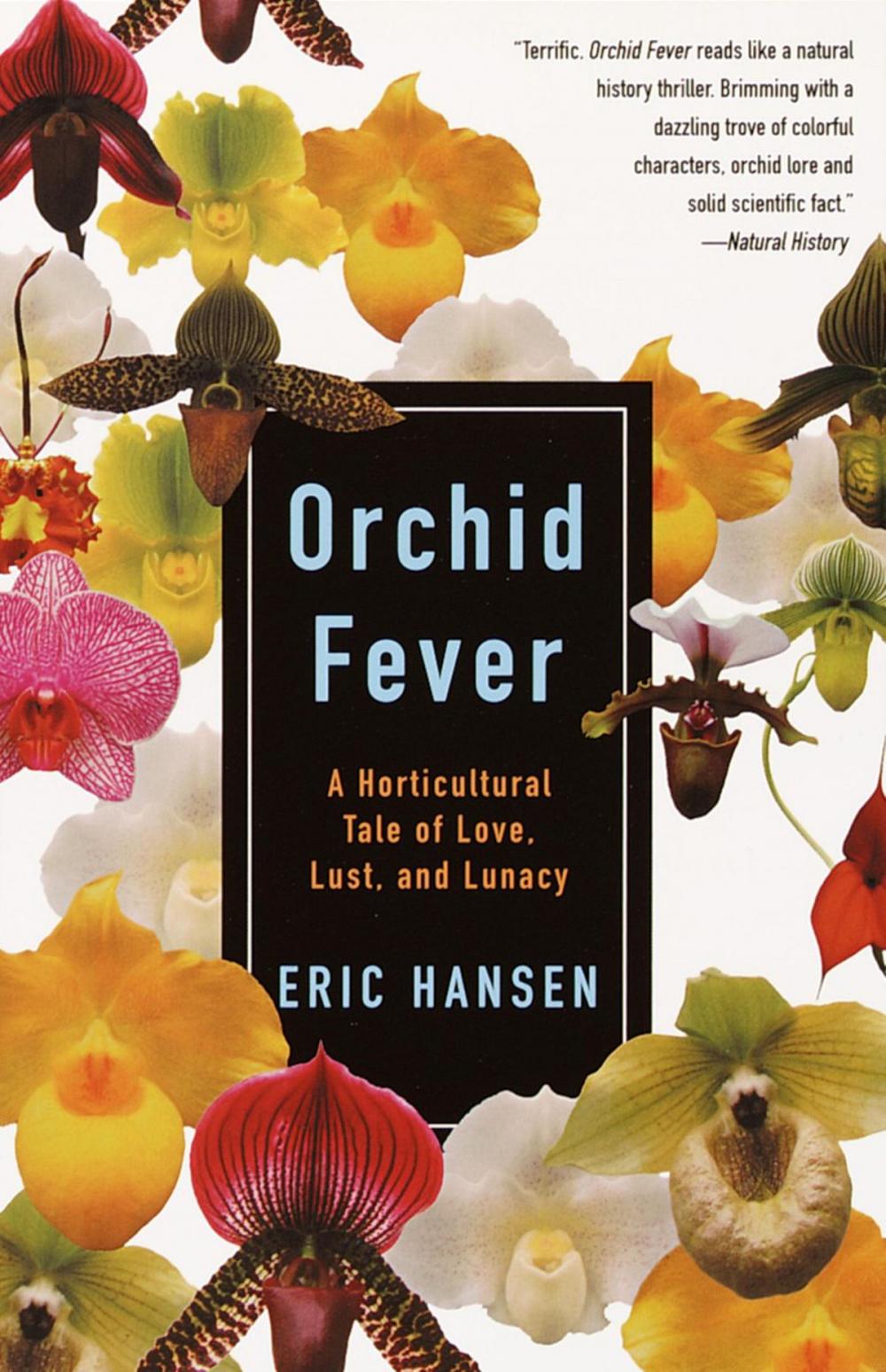 Big bigCover of Orchid Fever