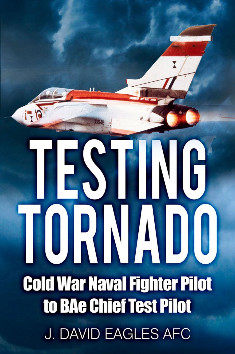 Big bigCover of Testing Tornado