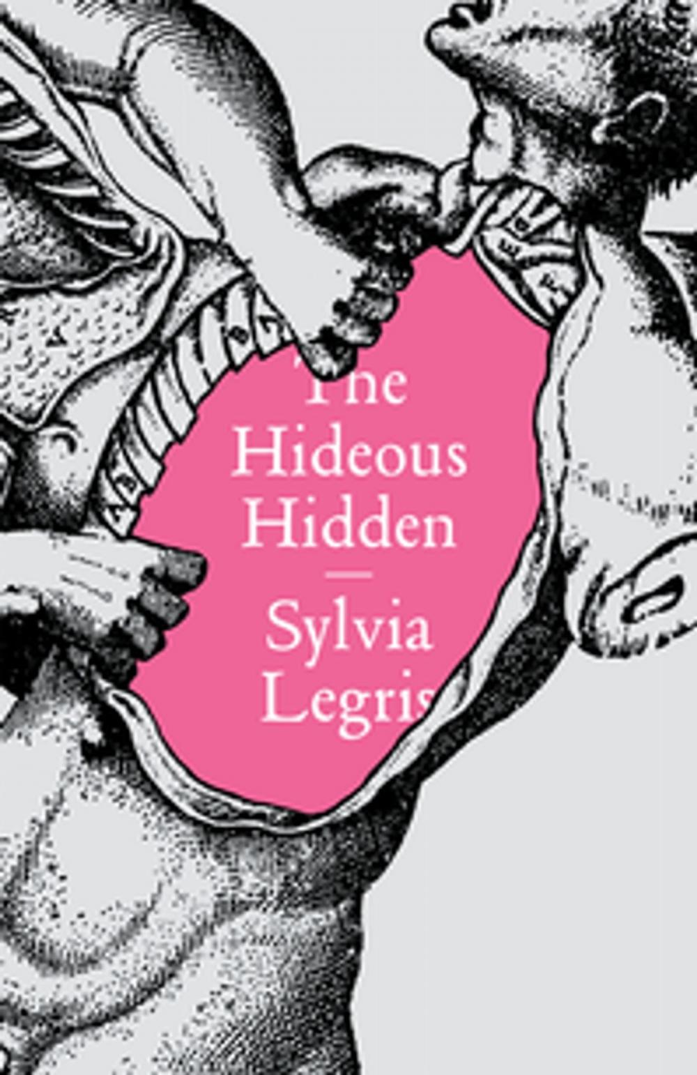 Big bigCover of The Hideous Hidden