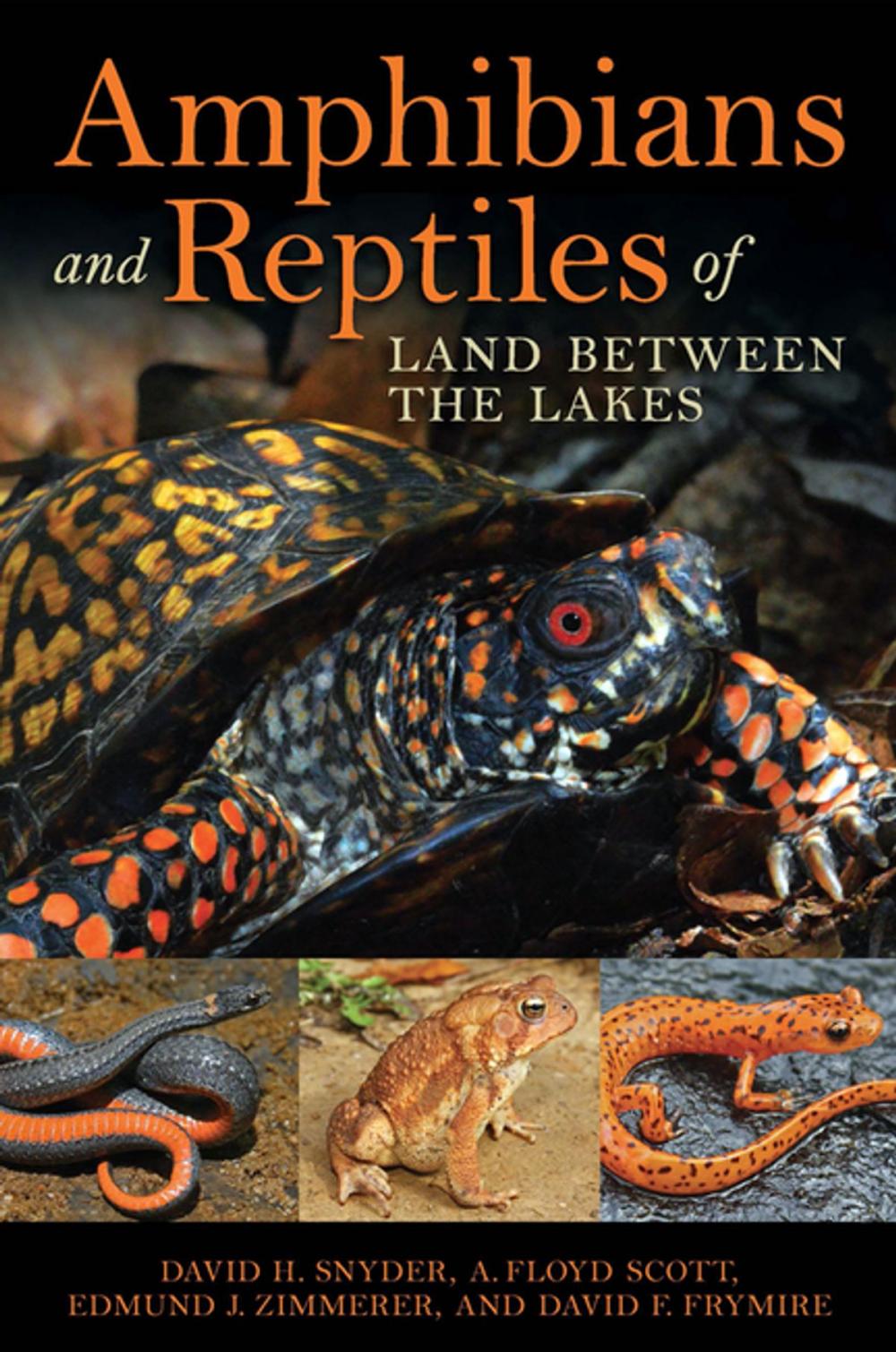 Big bigCover of Amphibians and Reptiles of Land Between the Lakes