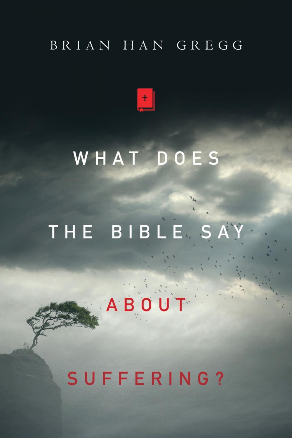 Big bigCover of What Does the Bible Say About Suffering?