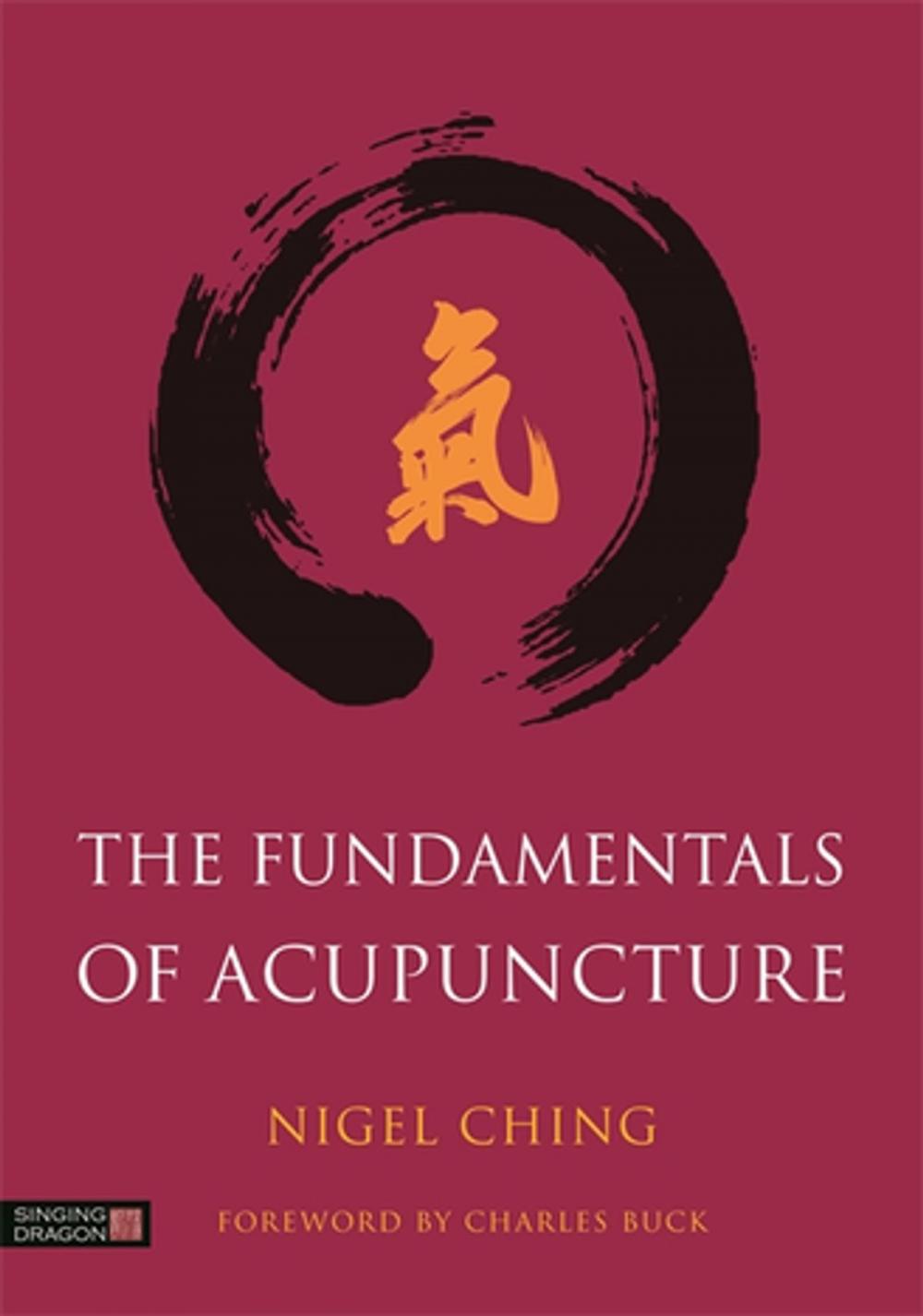 Big bigCover of The Fundamentals of Acupuncture