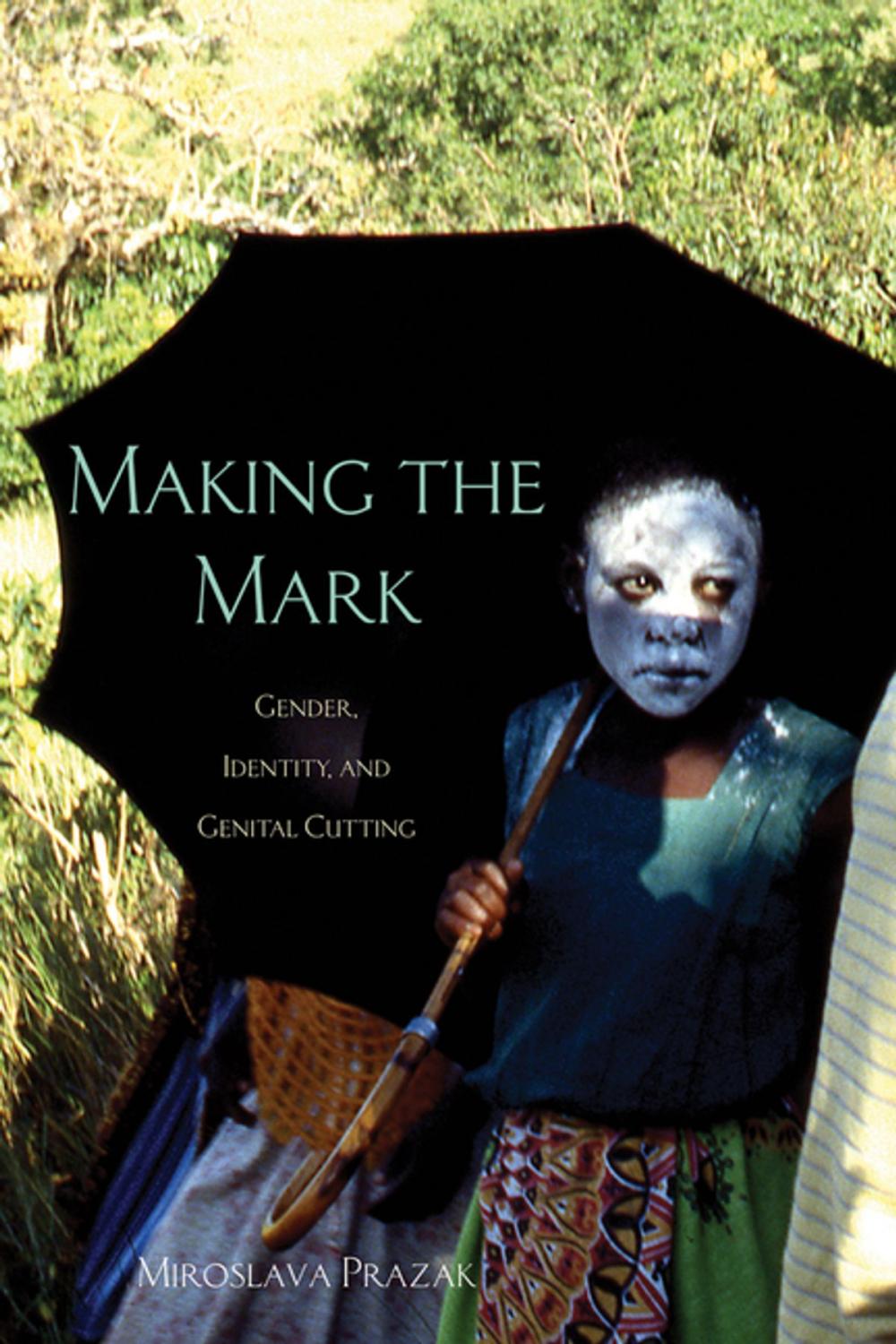 Big bigCover of Making the Mark