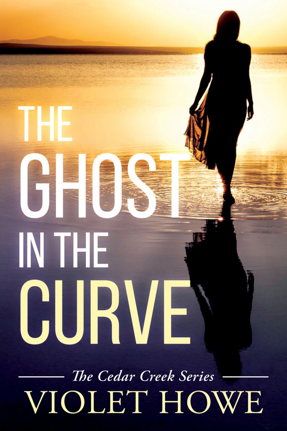 Big bigCover of The Ghost in the Curve