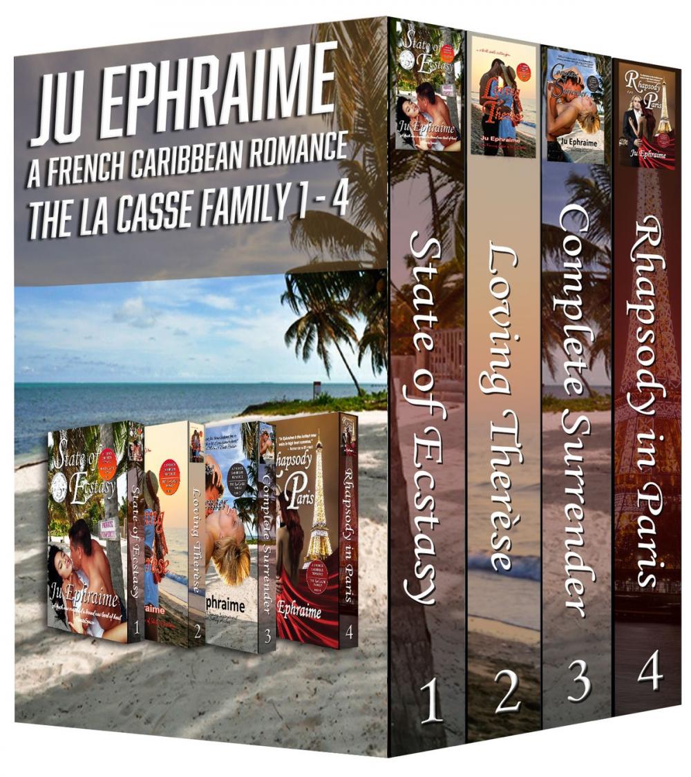 Big bigCover of LaCasse Family Series