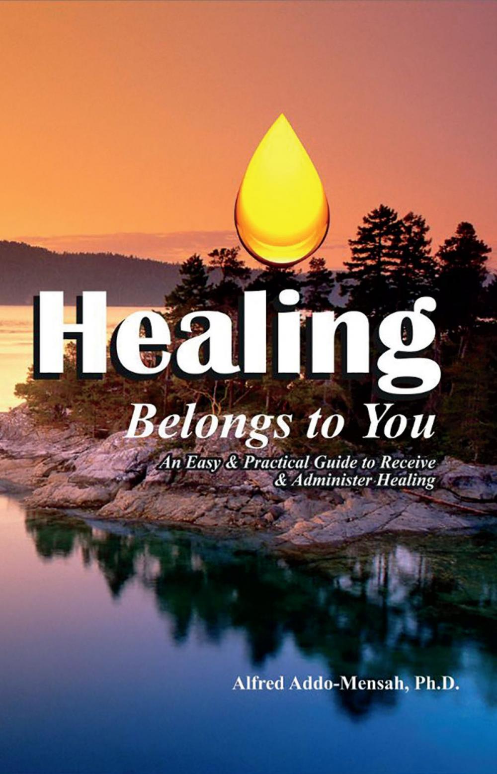Big bigCover of Healing Belongs to You