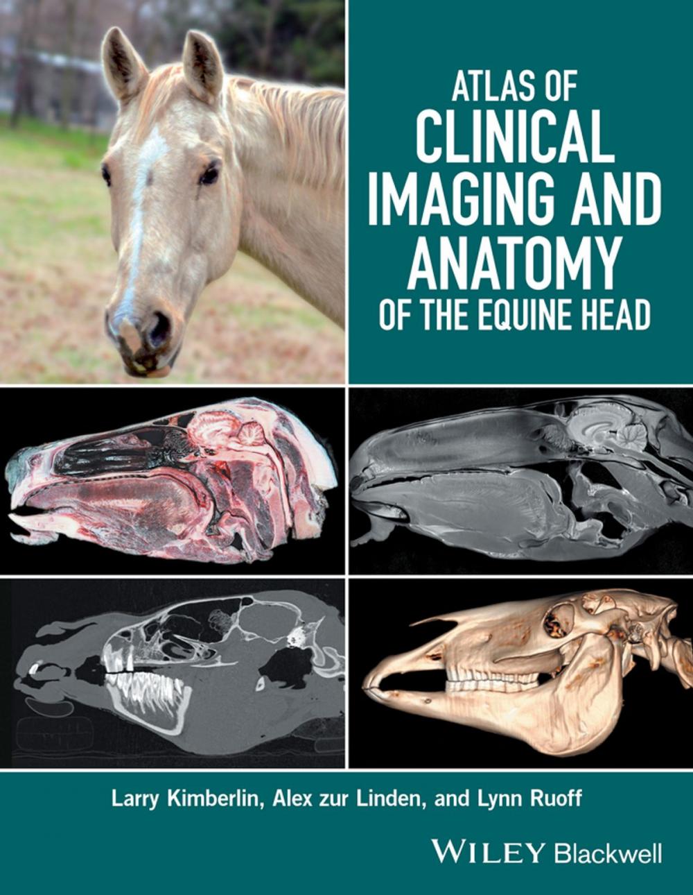 Big bigCover of Atlas of Clinical Imaging and Anatomy of the Equine Head