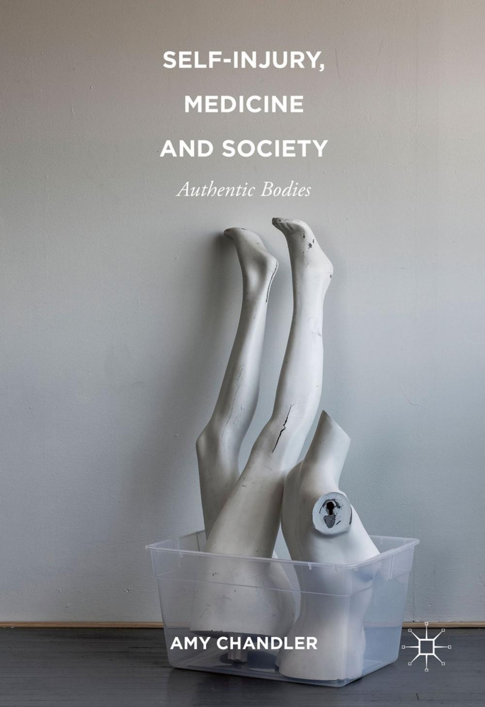 Big bigCover of Self-Injury, Medicine and Society