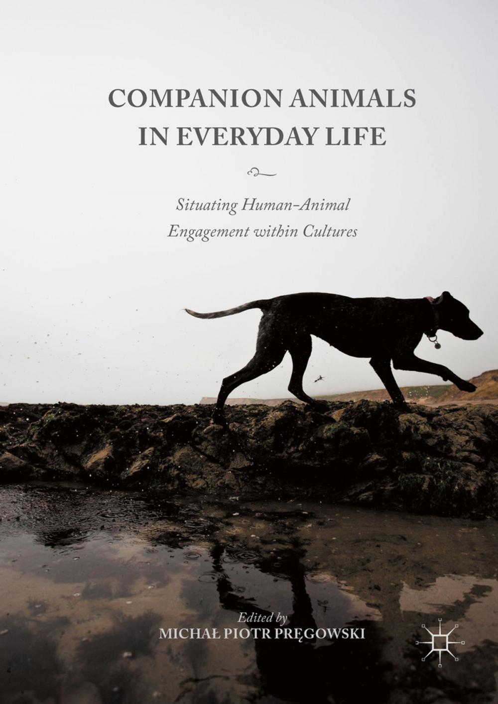 Big bigCover of Companion Animals in Everyday Life