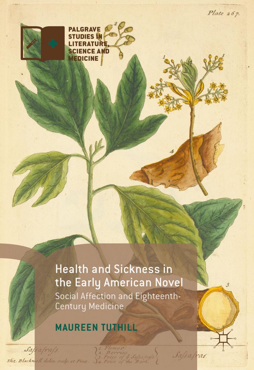 Big bigCover of Health and Sickness in the Early American Novel