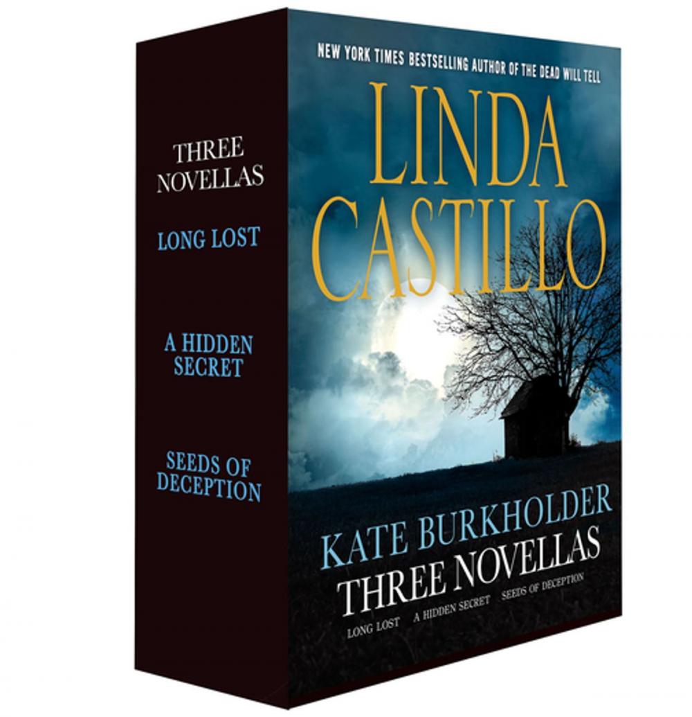 Big bigCover of Kate Burkholder: Three Novellas