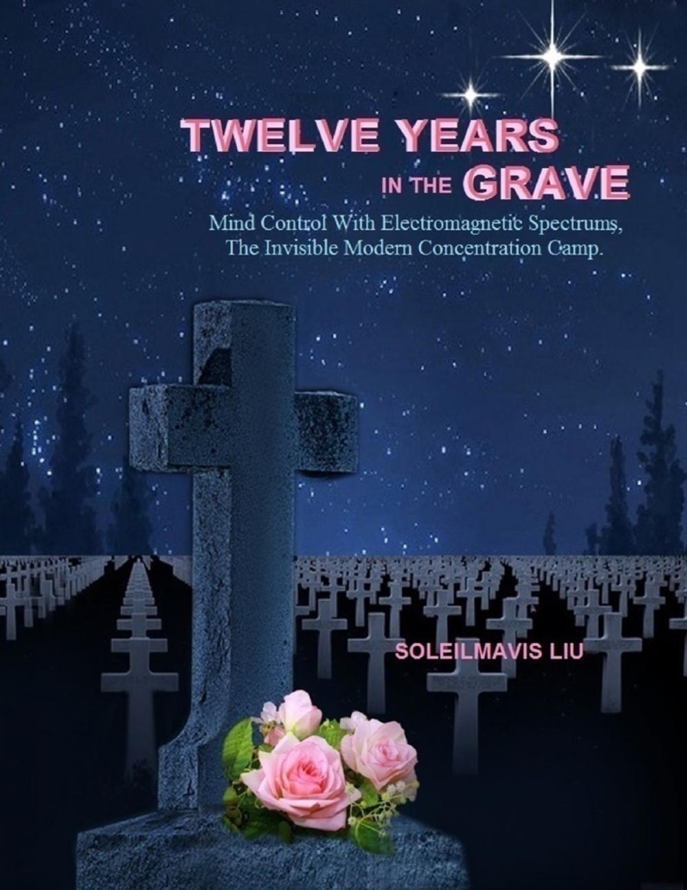 Big bigCover of Twelve Years in the Grave: Mind Control with Electromagnetic Spectrums, the Invisible Modern Concentration Camp.