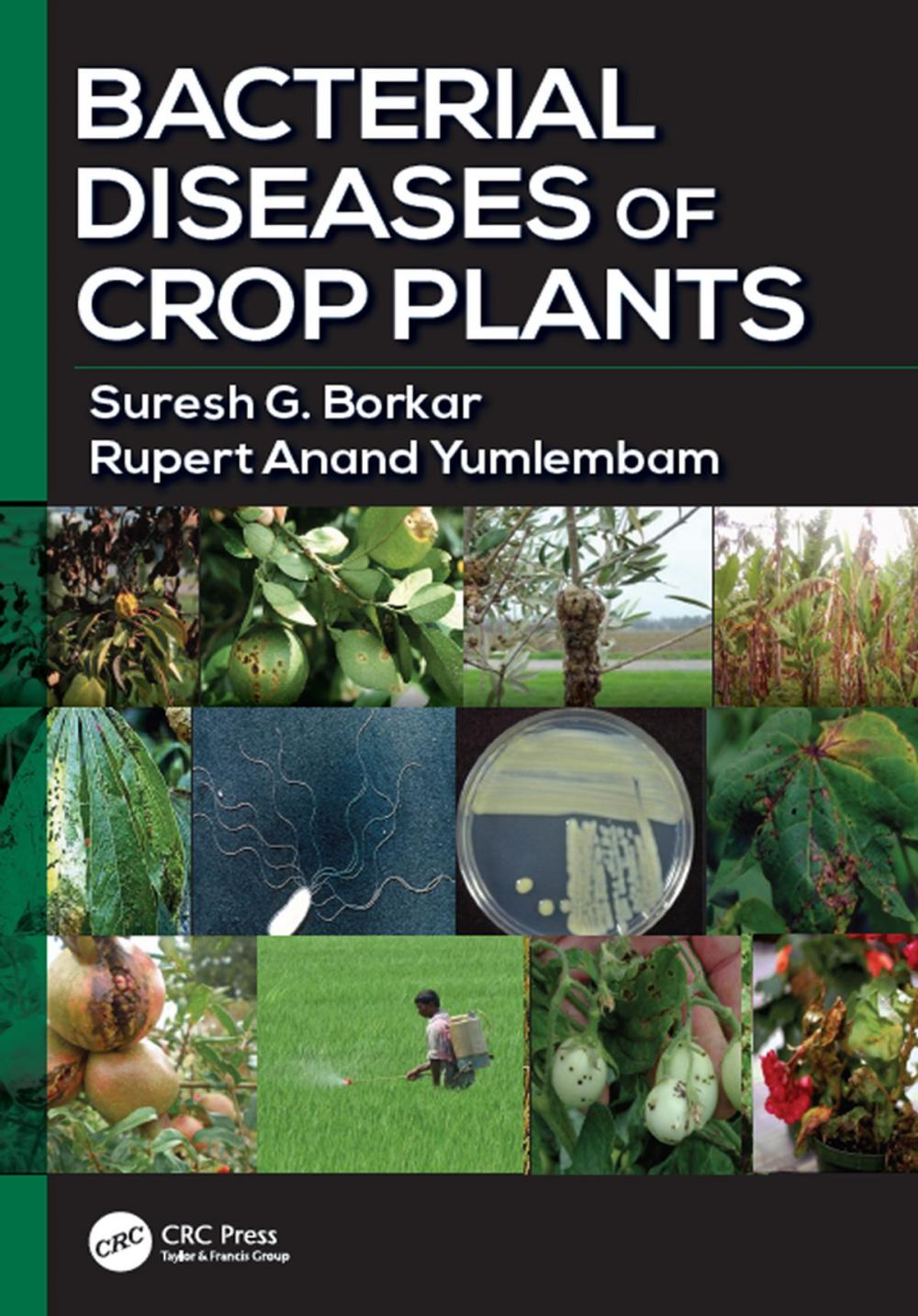 Big bigCover of Bacterial Diseases of Crop Plants