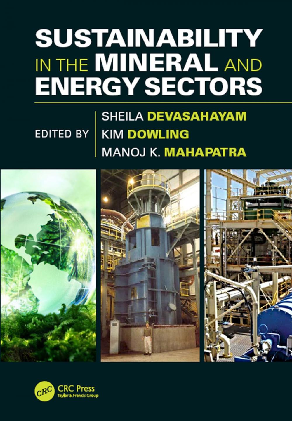 Big bigCover of Sustainability in the Mineral and Energy Sectors