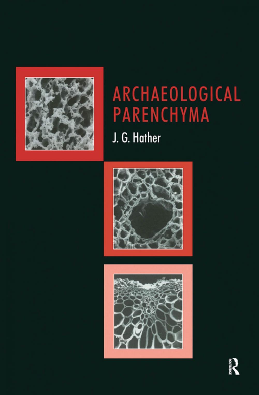 Big bigCover of Archaeological Parenchyma