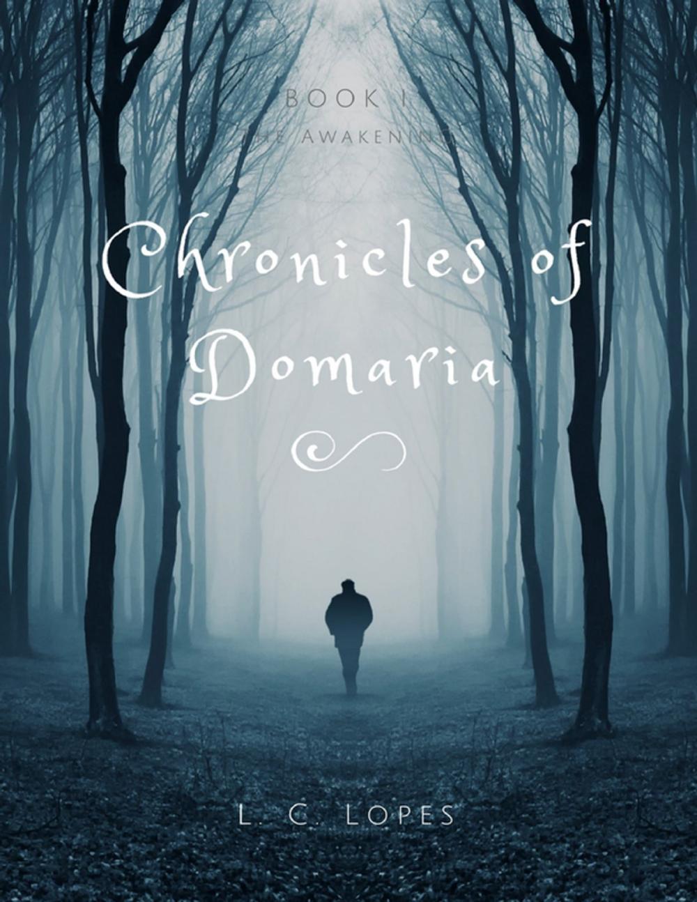 Big bigCover of Chronicles of Domaria - Book I - The Awakening