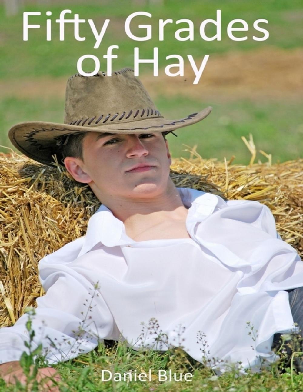 Big bigCover of Fifty Grades of Hay