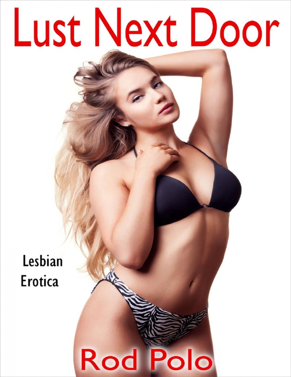 Big bigCover of Lust Next Door: Lesbian Erotica