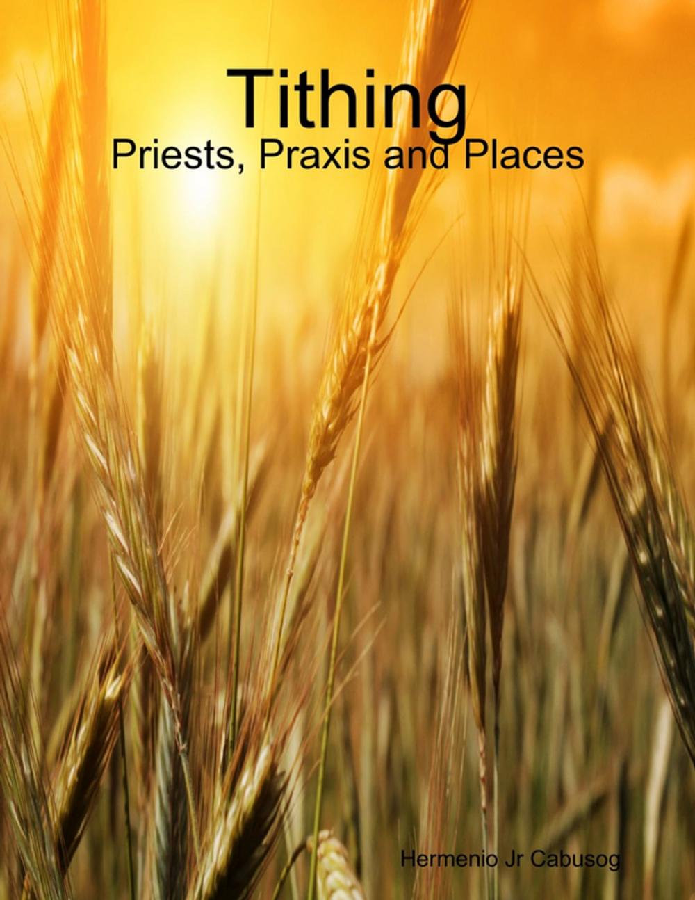 Big bigCover of Tithing: Priests, Praxis and Places