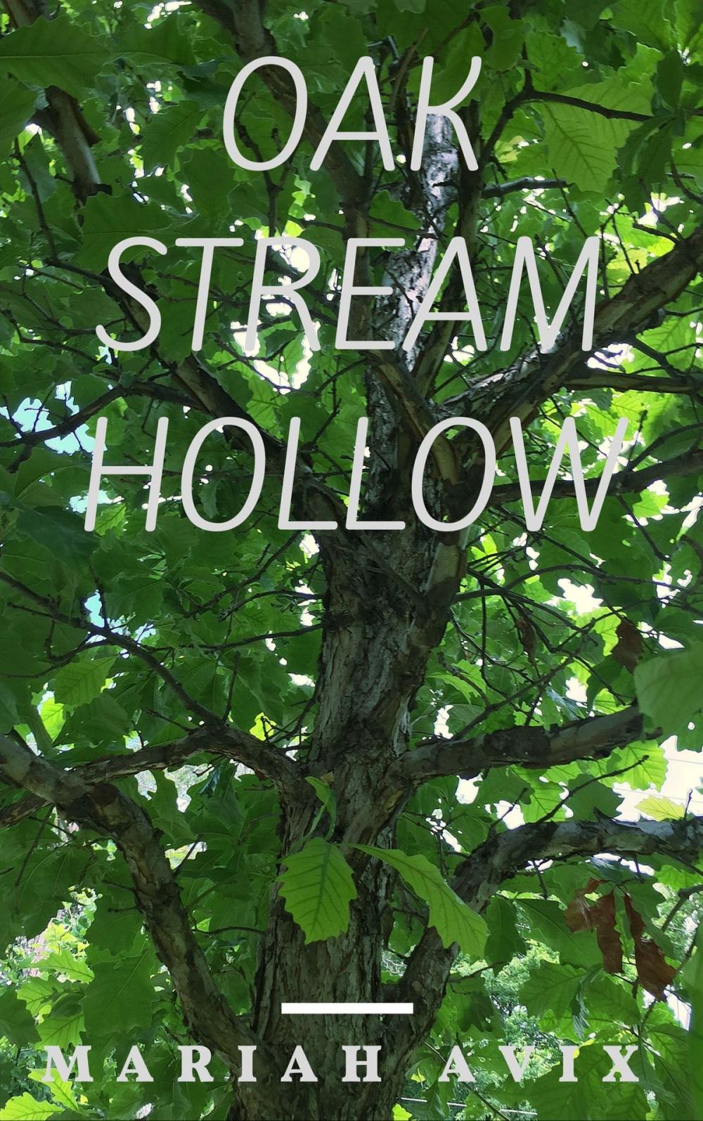 Big bigCover of Oak Stream Hollow