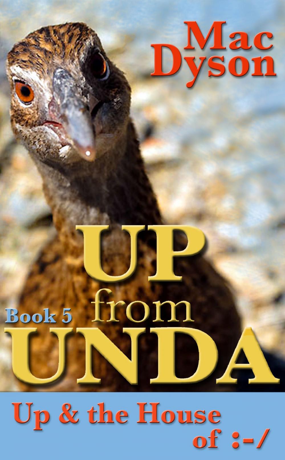 Big bigCover of "Up From Unda": Up & The House of :-/