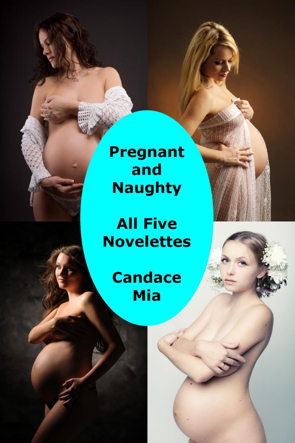 Big bigCover of Pregnant and Naughty: All Five Novelettes