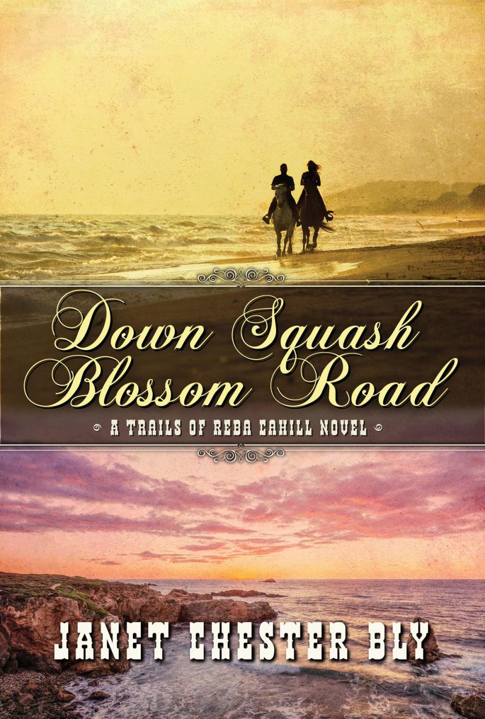 Big bigCover of Down Squash Blossom Road