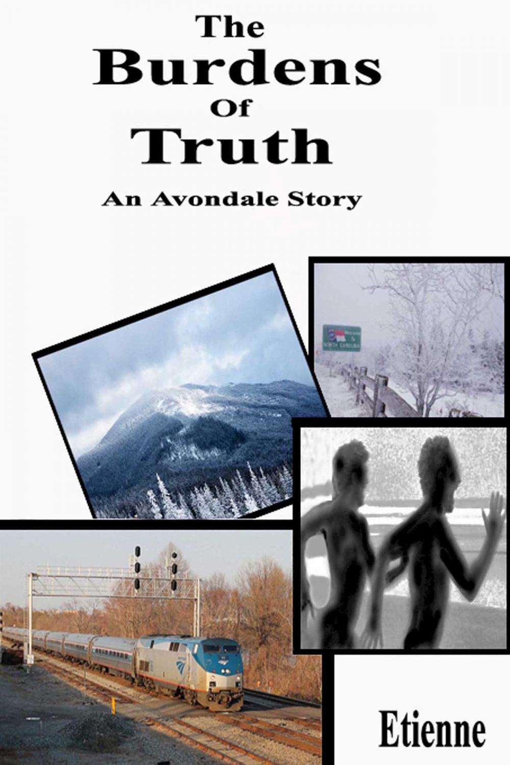 Big bigCover of The Burdens of Truth (an Avondale Story)