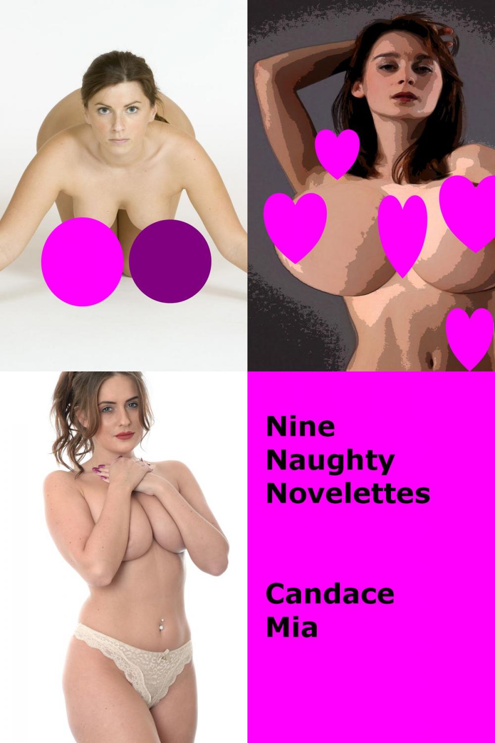 Big bigCover of Nine Naughty Novelettes