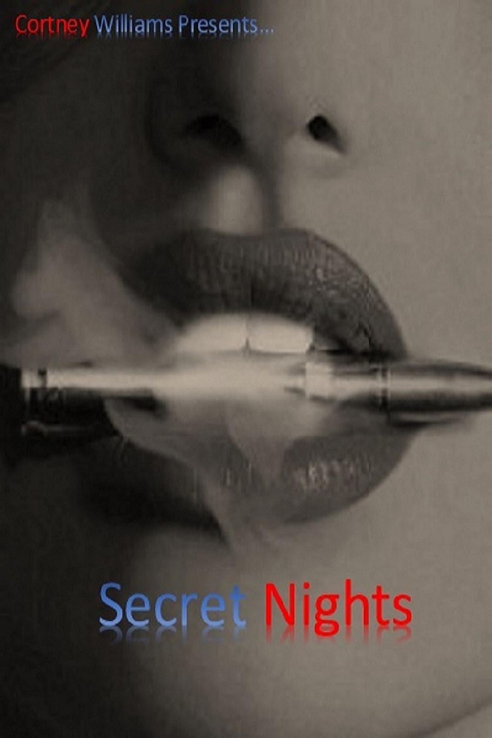 Big bigCover of Secret Nights