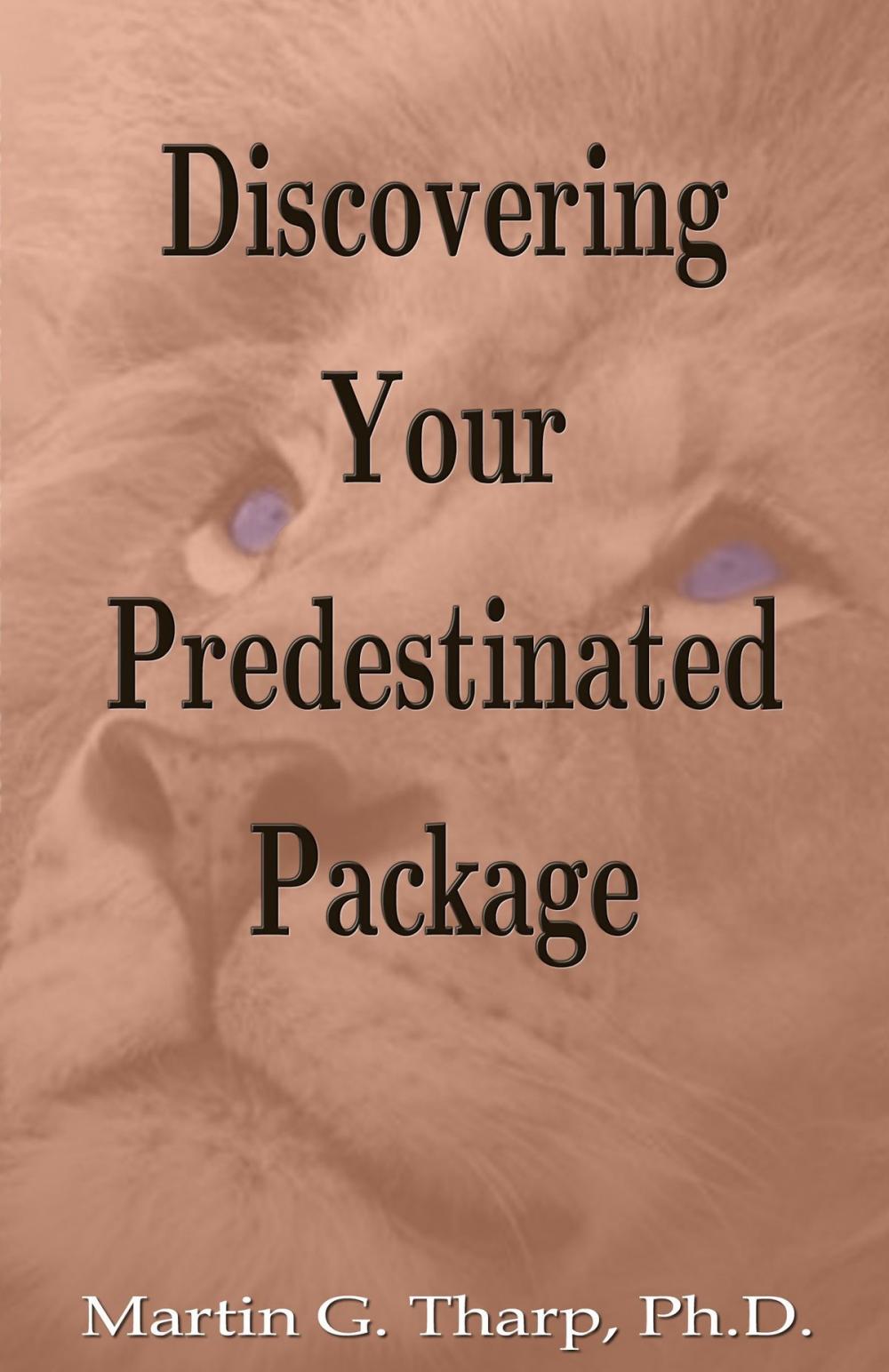 Big bigCover of Discovering Your Predestinated Package