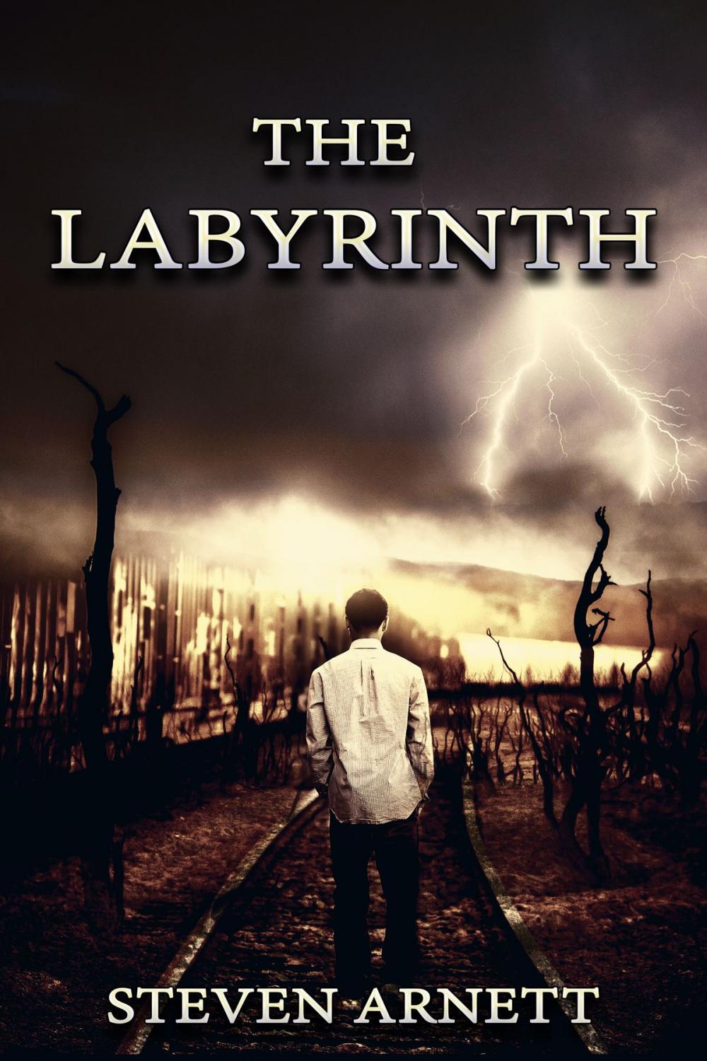 Big bigCover of The Labyrinth