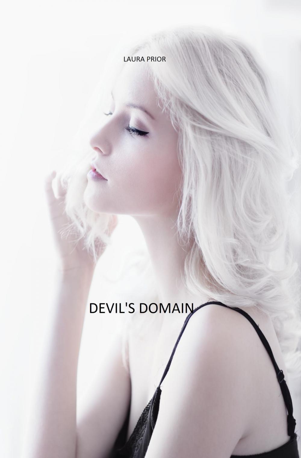 Big bigCover of Devil's Domain