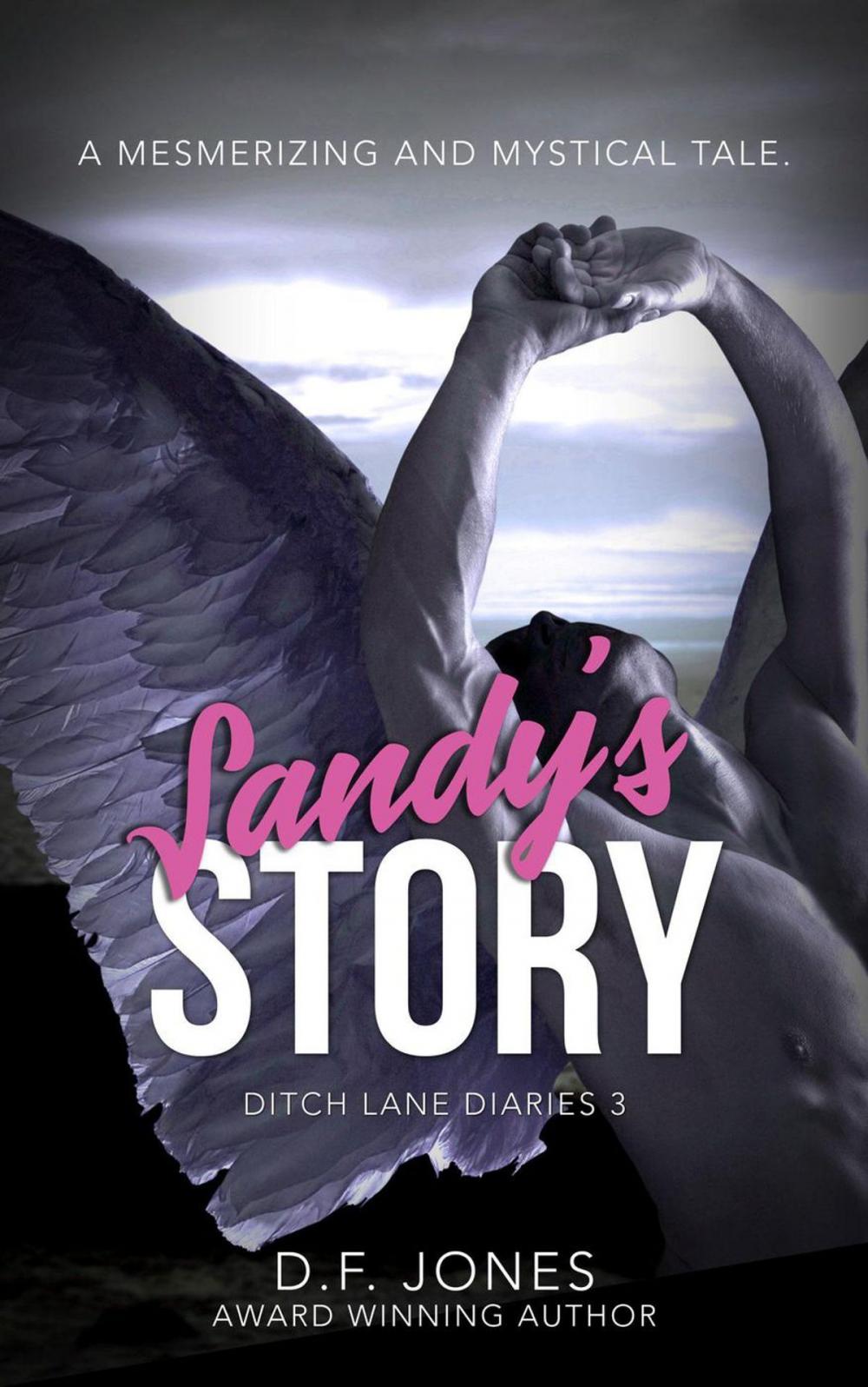 Big bigCover of Sandy's Story (Ditch Lane Diaries Book 3)