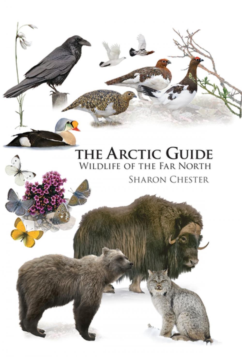 Big bigCover of The Arctic Guide