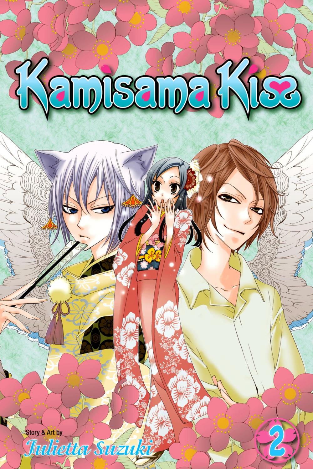 Big bigCover of Kamisama Kiss, Vol. 2