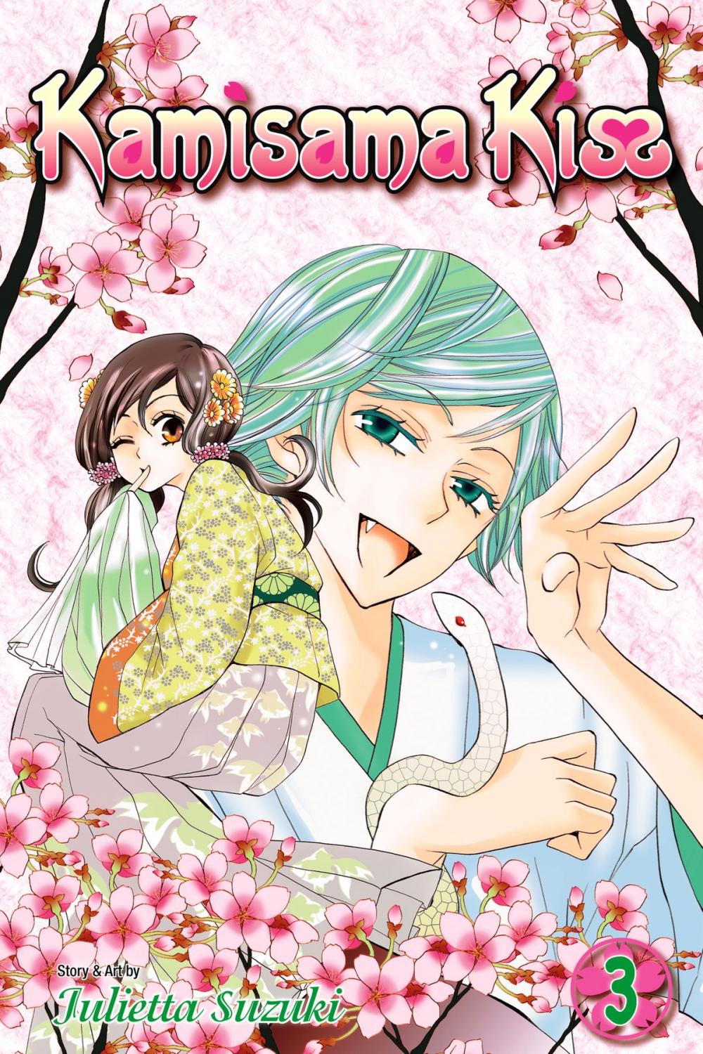 Big bigCover of Kamisama Kiss, Vol. 3