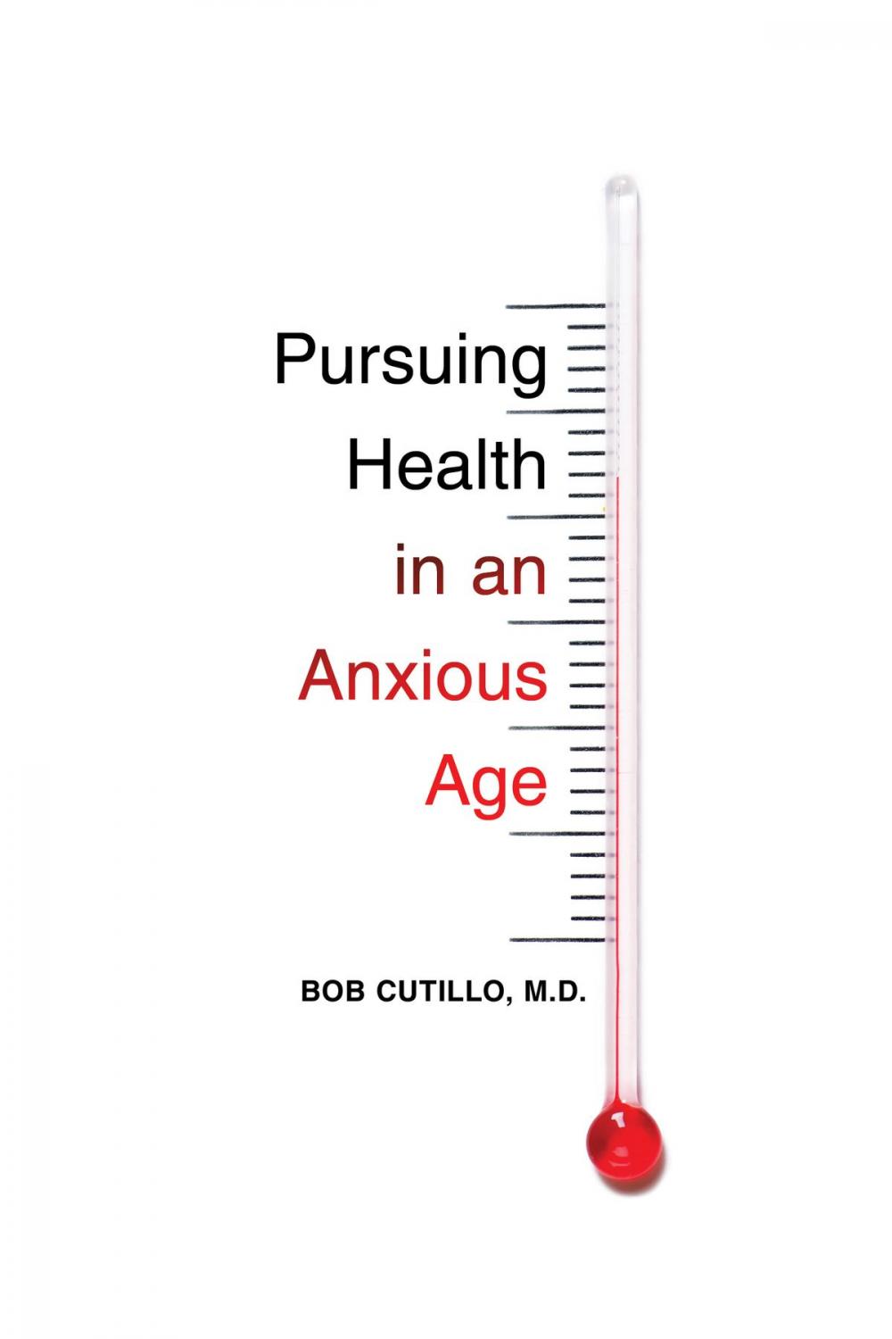 Big bigCover of Pursuing Health in an Anxious Age