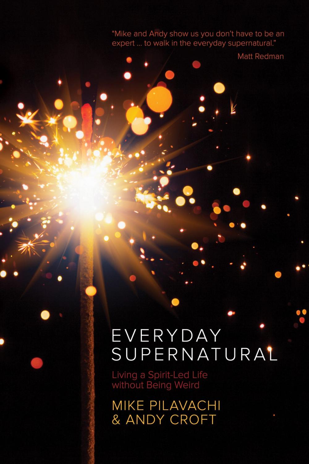 Big bigCover of Everyday Supernatural