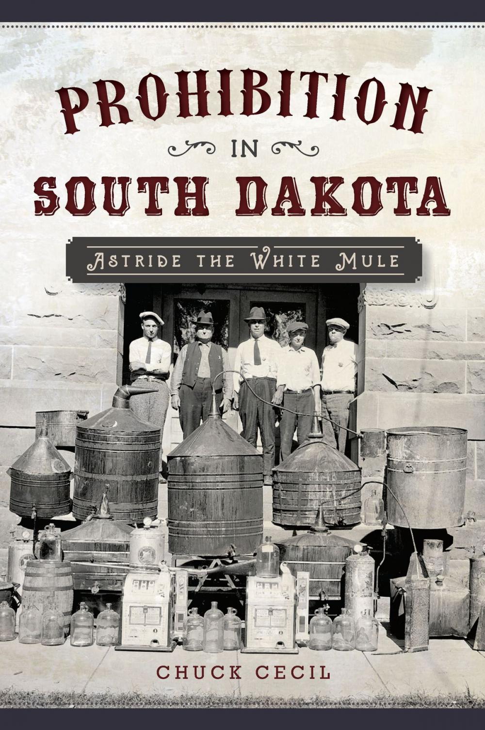 Big bigCover of Prohibition in South Dakota