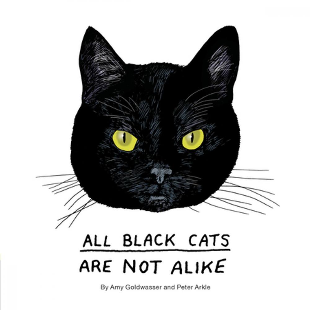 Big bigCover of All Black Cats are Not Alike